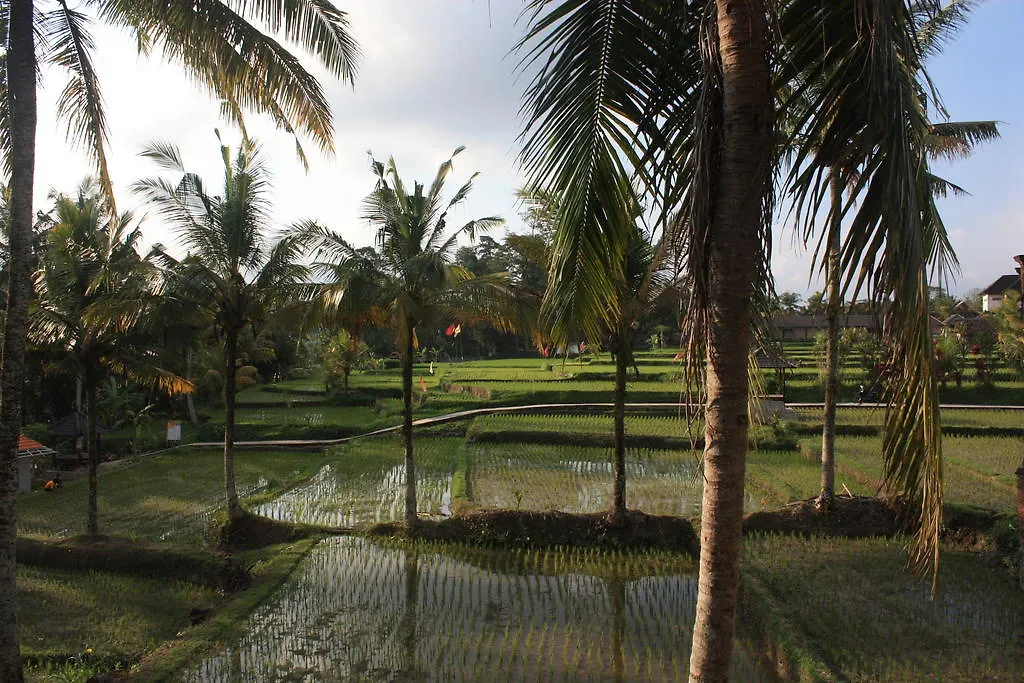 Hotel Dewa House Bisma Ubud Gasthof